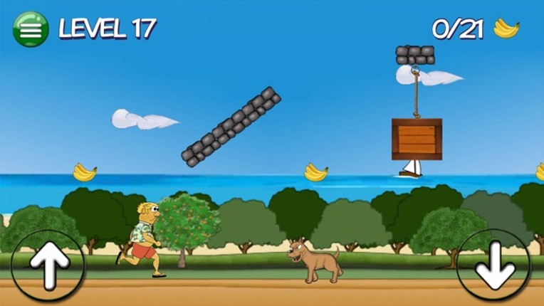 Risky Run Endless Runner Game screenshot