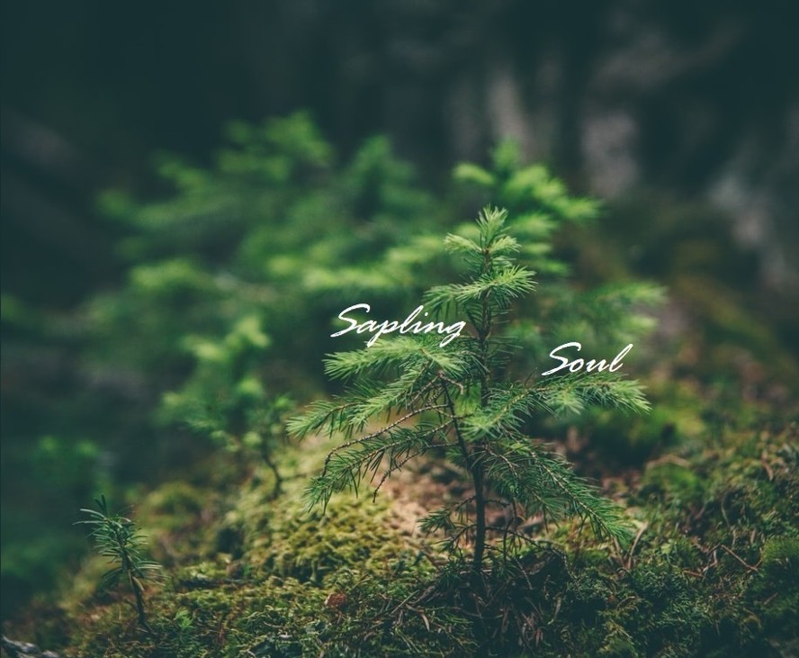 Games like Sapling Soul