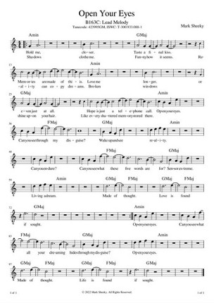 Sheet Music & Lyrics: The End And The Beginning screenshot