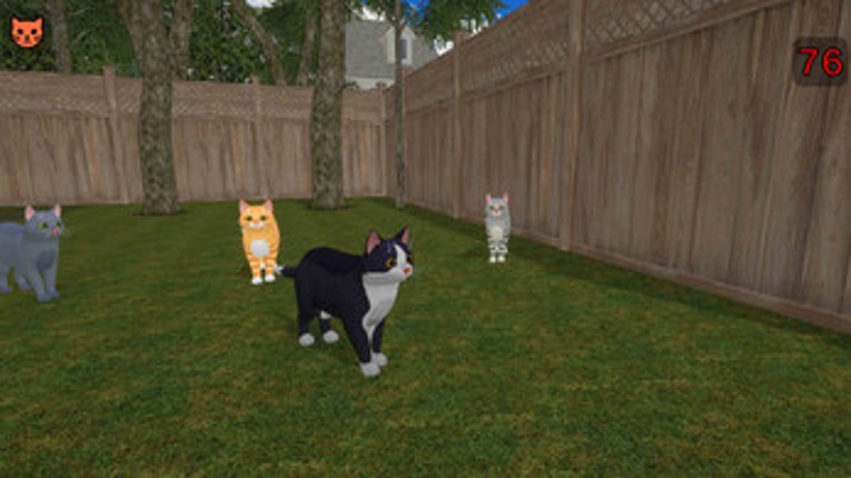 The Cat Hero (patched version) Image