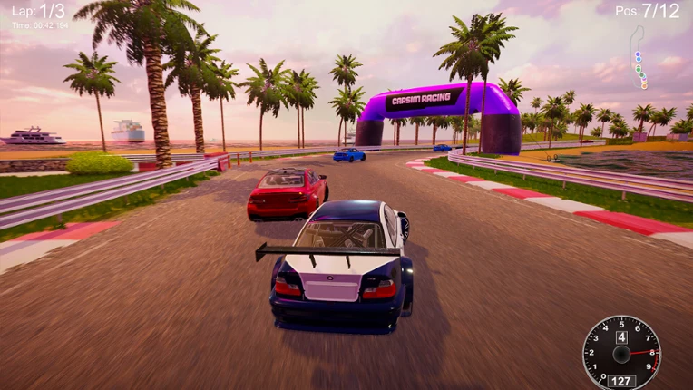 CarSim Racing screenshot