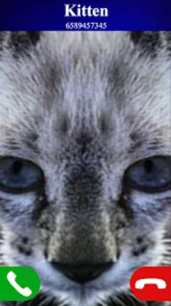 fake call cat game screenshot