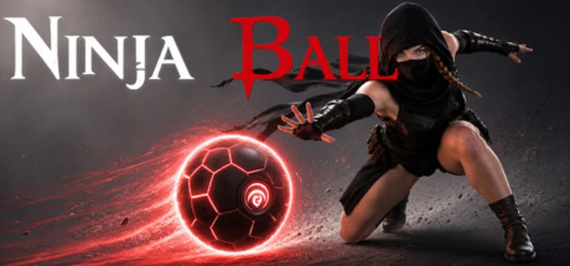 Ninja Ball Image