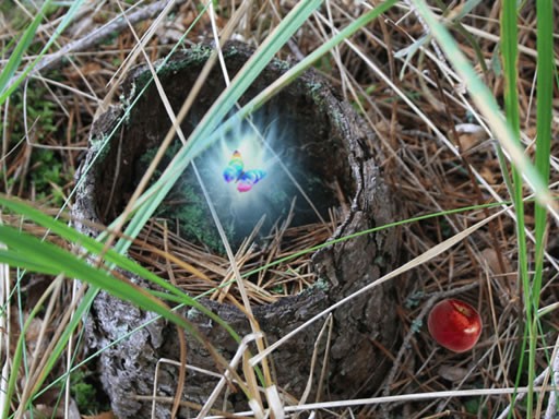 Games like Pavilostas Forest Adventure