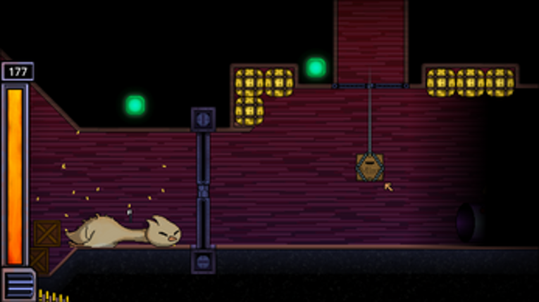 The Doki Bullet Swarm screenshot