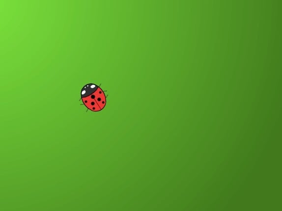 Touch the Ladybug Image