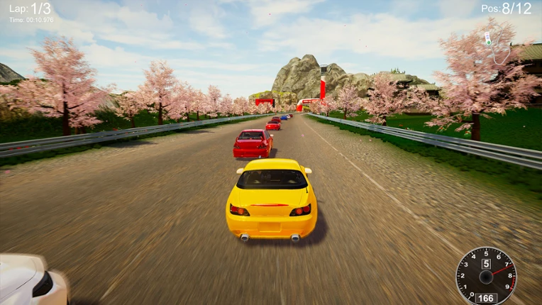 CarSim Racing screenshot