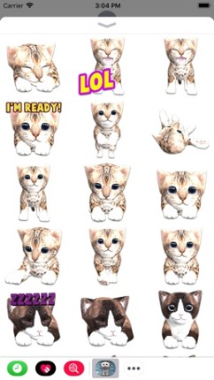 Cattery screenshot