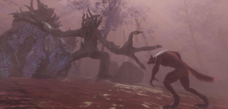 Daemon: The Wolf, The Witch, and the Labyrinth screenshot