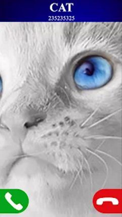 fake call cat game Image