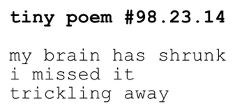 a trillion / quite tiny / little poems screenshot