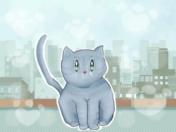 Kitter Image