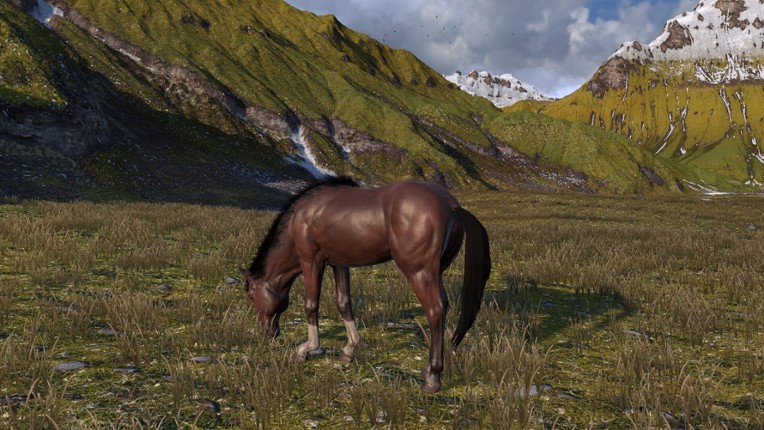 HORSE LIFE: find horses in open world, survive in wild nature as a foal or pony screenshot