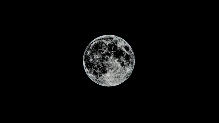 Moon-Oriented Autonomous Biological Model Image