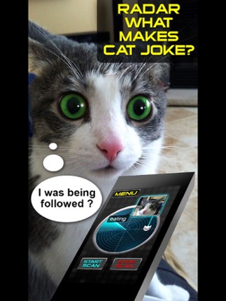 Radar What Makes Cat Joke Image