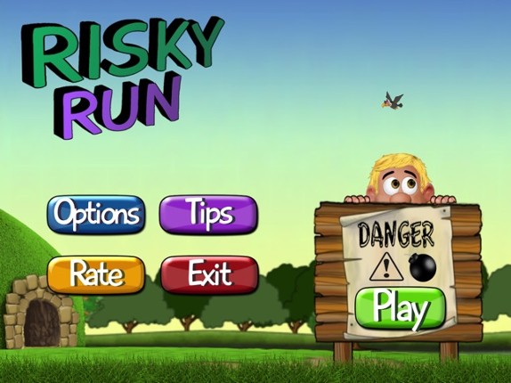 Risky Run Endless Runner Game screenshot