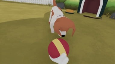 You Can Pet The Dog VR Image