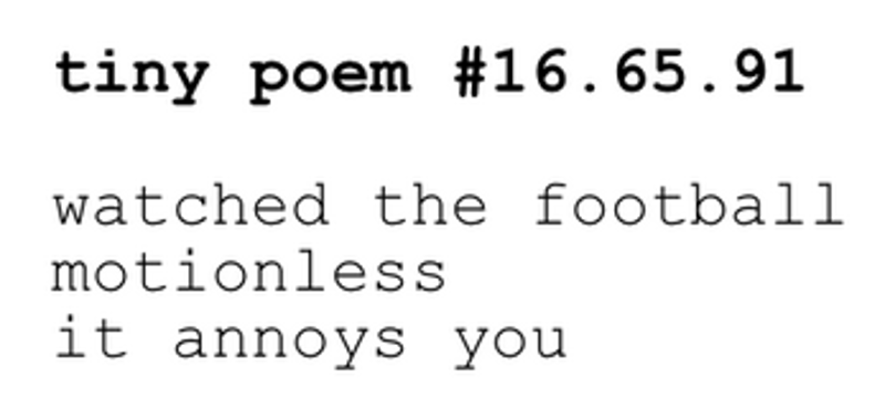 a trillion / quite tiny / little poems screenshot