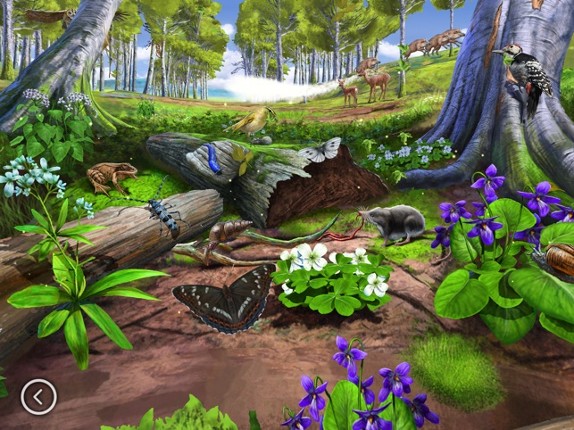 Körforgás 1. screenshot