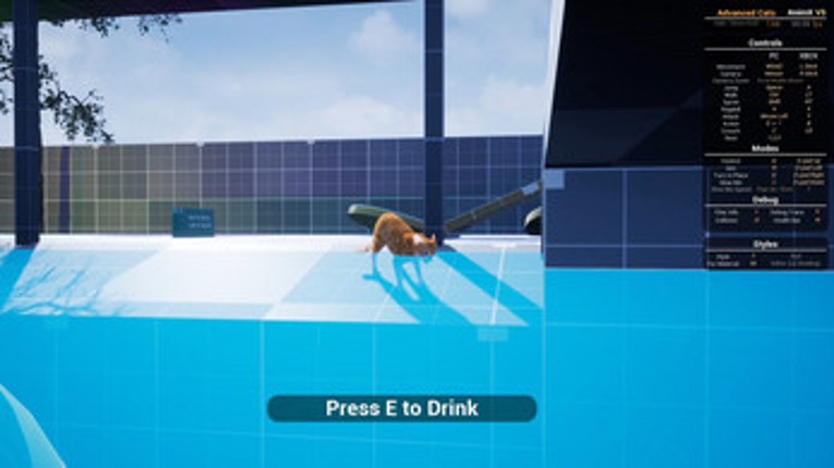 i want to be a cat screenshot