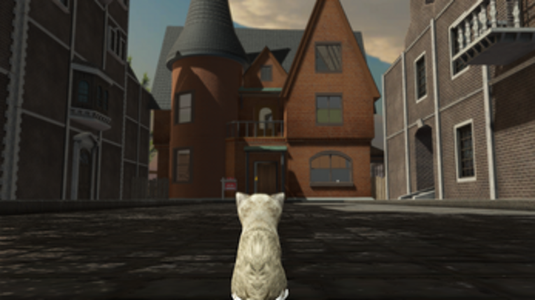La nuit, tous les chats sont gris Image
