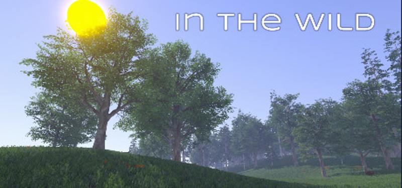 In the Wild Image