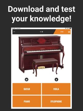 Quiz: Musical Instruments screenshot