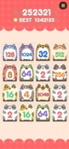 2048 Cat Image