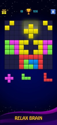 Block Puzzle Mania: Fit 10 Pro screenshot