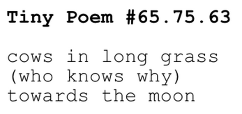 a trillion / quite tiny / little poems screenshot