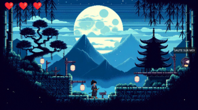 Ninja's Adventure screenshot