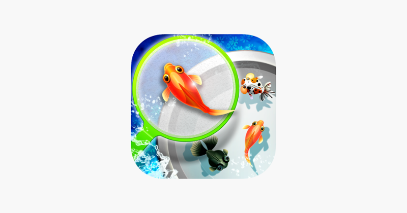 Shin Goldfish Scooping Image