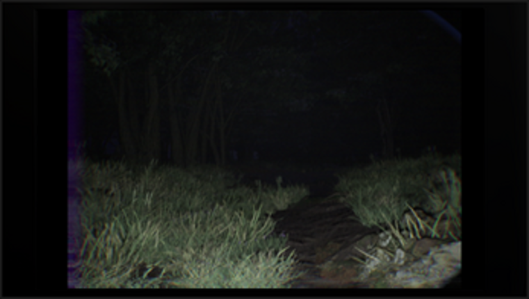 Slender: Return to Rosswood Park Image