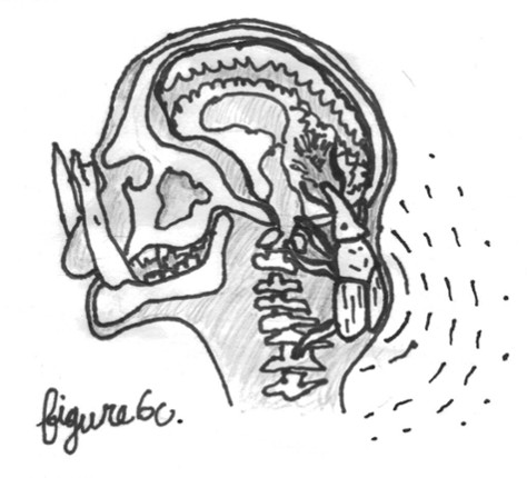 The Parasitic BRAIN WEEVIL and other temporal anomalies Image
