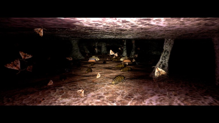 Dédale - A Cave Diving Experience Image
