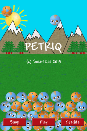 Petriq screenshot