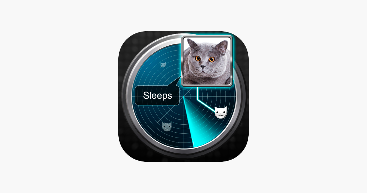 Games like Radar What Makes Cat Joke