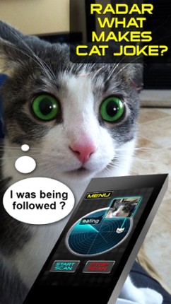 Radar What Makes Cat Joke Image