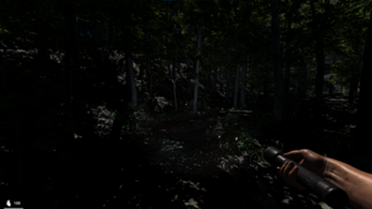 The House In The Woods Image