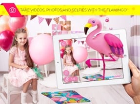 AR Flamingo Image