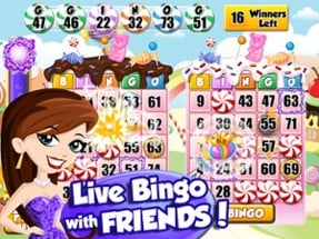 Bingo PartyLand Live Play Game Image