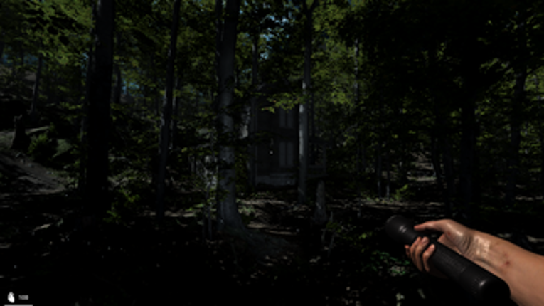 The House In The Woods screenshot