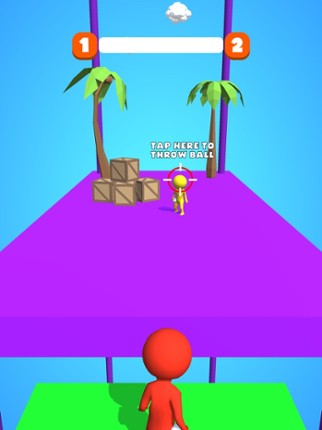 Throw Balls 3D screenshot