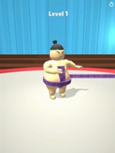 Sumo Life 3D Image