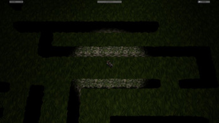 The Maze (first game) Image