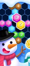 Block Hexa - Match Puzzle Image