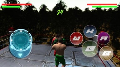 International Real Boxing Champion Game Image