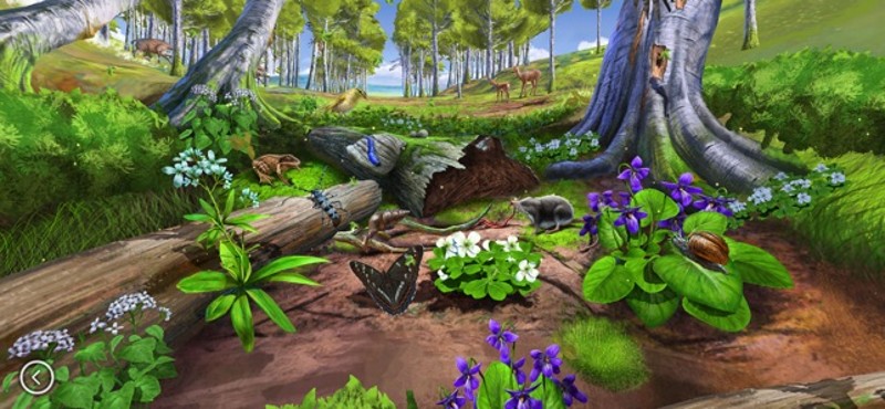 Körforgás 1. screenshot