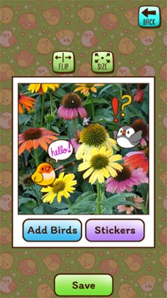 Tiny Bird Garden screenshot