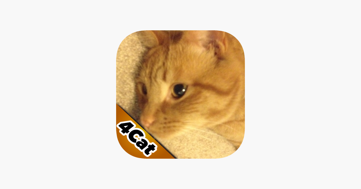 Games like Game4Cats a Bird Hunting Game for Cats